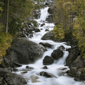 New Year's Resolutions river New Year's Resolutions river